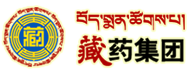 東莞市盛元新材料科技有限公司